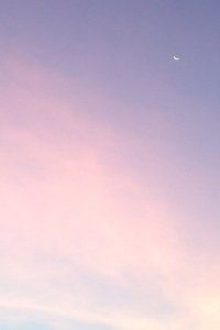 快船队外援球员助球队取得胜利