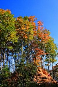 巴黎圣日耳曼晋级半决赛，一步之遥欧洲巅峰