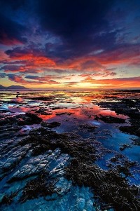 阿尔巴尼亚跳水选手飞水摘金，冠军气场全开