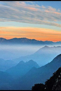 全球篮球锦标赛受到广泛关注