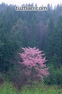 国际足球盛宴在欧洲继续进行中