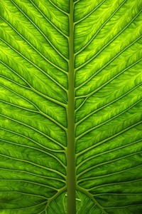 勒阿弗球员举办慈善活动，为社会贡献爱心